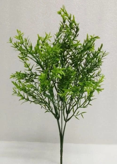 Sperigrass 1x3 Bunch x5